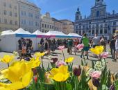 Nůžkový párty stan 3x6 metrů, 3x3 metrů, 4x8 metrů půjčovna pro párty stany na firemní akce od ZAJISTIMEPARTY.cz celá ČR