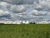 ZAJISTIMEPARTY.cz PRONÁJEM NŮŽKOVÝCH STANŮ a PÁRTY STANŮ,  CELOROČNÍ PŮJČOVNA NŮŽKOVÝCH STANŮ a PARTY STANŮ po celé ČR