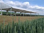 NŮŽKOVÉ PARTY STANY PRO VAŠI AKCI, NAŠE PŮJČOVNA ZAJISTÍ JAKÝKOLIV FORMÁT VAŠÍ FIREMNÍ AKCE od www.zajistimeparty.cz